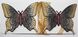 Магниты (2шт, пара) для штор, гардин "Бабочка" цвет венге с золотом 193м 81-104 Фото 5