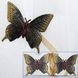 Магниты (2шт, пара) для штор, гардин "Бабочка" цвет венге с золотом 193м 81-104 Фото 1