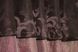 Шторки (290х170см) с ламбрекеном и подхватами цвет розово-золотистый с коричневым 073к 52-0374