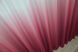 Тюль растяжка "Омбре" из шифона цвет бордовый с белым 757т  Фото 6