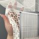 Тюль жаккард цвет молочный 2020т, Тюль на метраж, Без крепления, ткань на отрез, Нужную Вам ширину указывайте при покупке. (Ширина набирается по длине рулона.), 2,85 м.